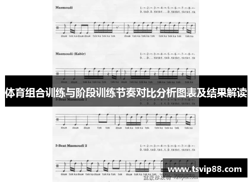 体育组合训练与阶段训练节奏对比分析图表及结果解读